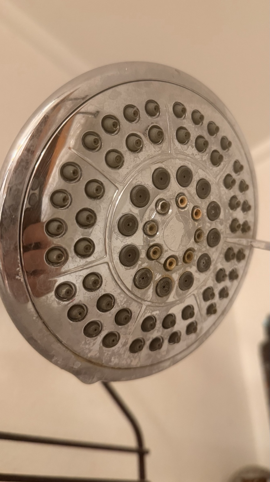 Mineral buildup visible on a showerhead in a Direct Plumbing Solutions field photo